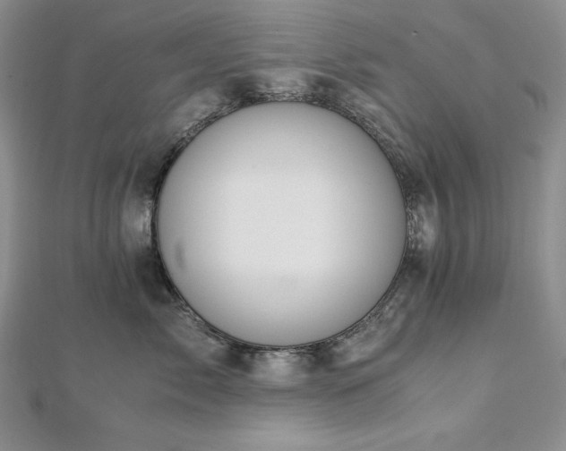 X0000113170717200909041322