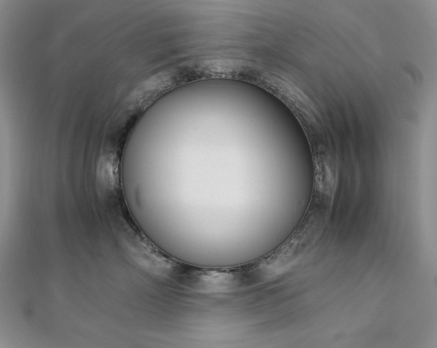 X0000113170718200909041322