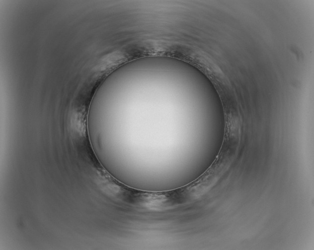 X0000113170719200909041321