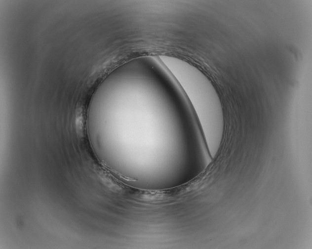 X0000113170720200909041321