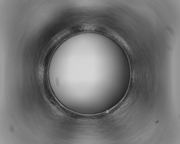 X0000113170722200909041321