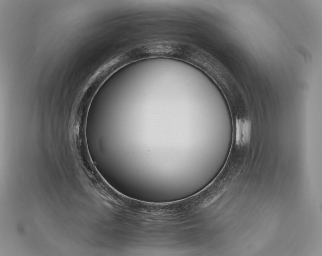 X0000113170723200909041321