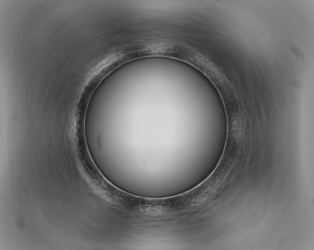 X0000113170730200909041321