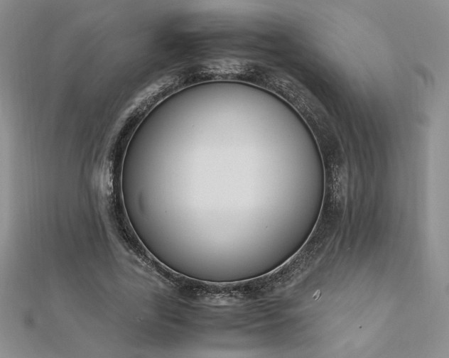 X0000113170731200909041321