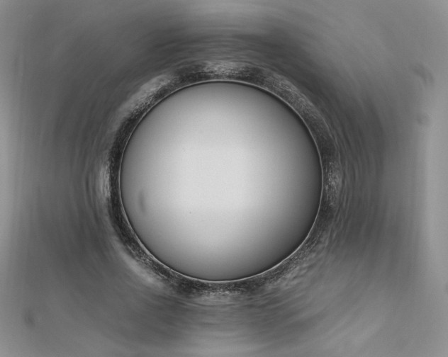 X0000113170734200909041321