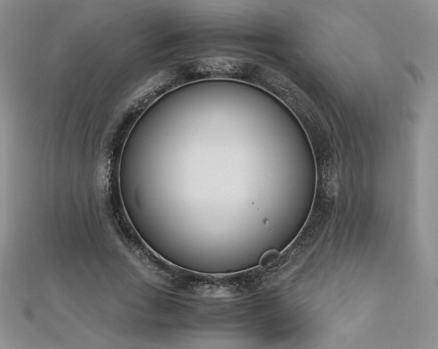 X0000113170735200909041321