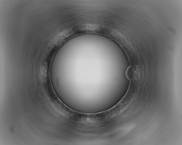 X0000113170739200909041321