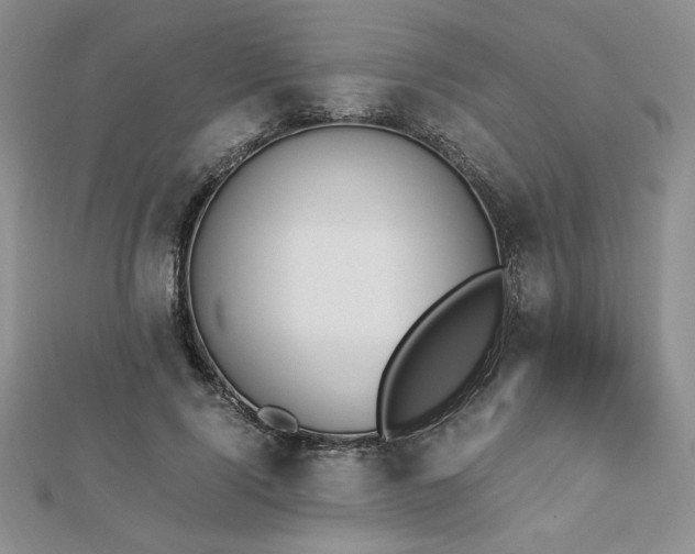 X0000113170740200909041321