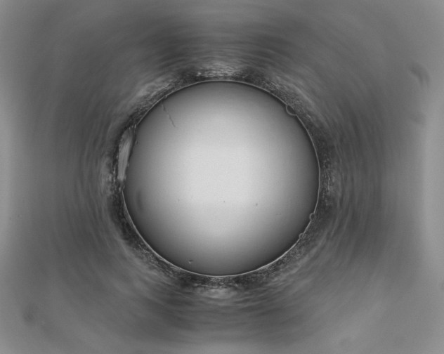 X0000113170743200909041321