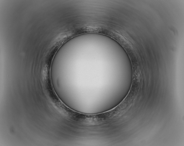 X0000113170744200909041321
