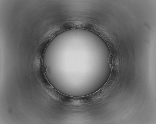 X0000113170746200909041321