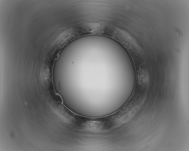X0000113170748200909041321