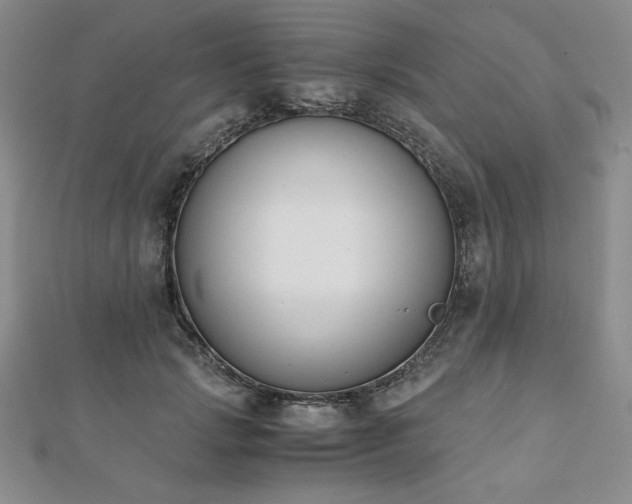 X0000113170749200909041321