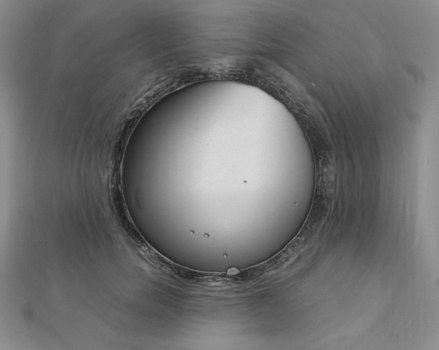 X0000113170750200909041321