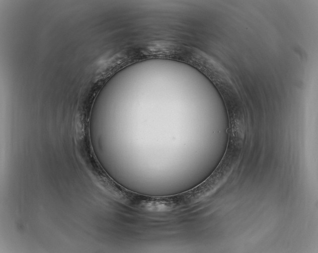 X0000113170751200909041321