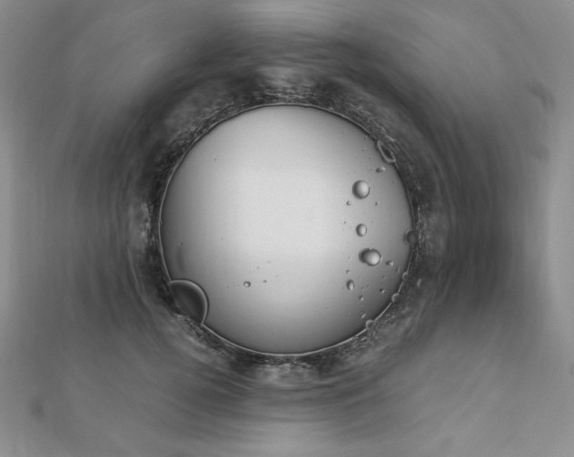 X0000113170752200909041321