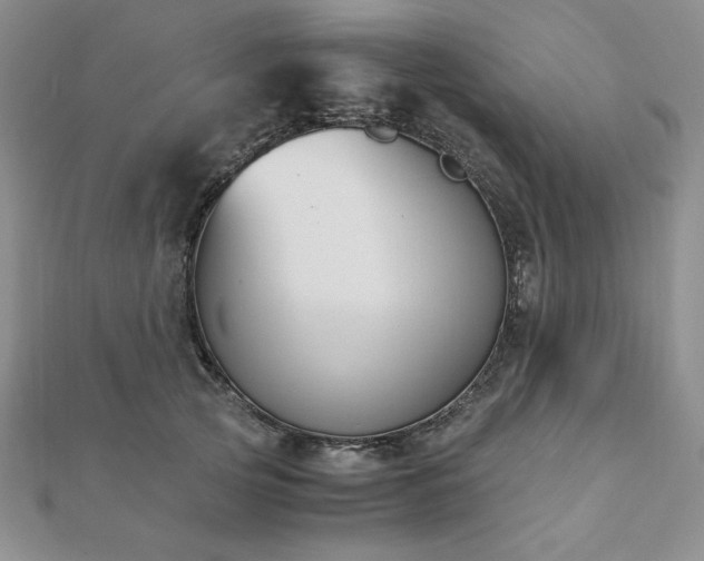 X0000113170753200909041321