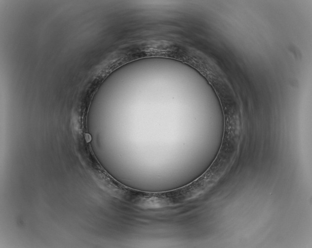 X0000113170755200909041321