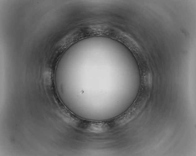 X0000113170757200909041321