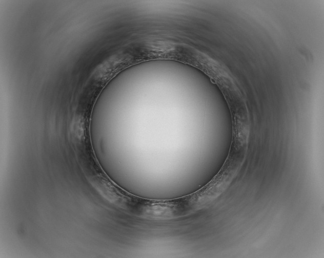 X0000113170758200909041321