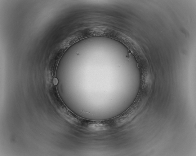X0000113170759200909041321