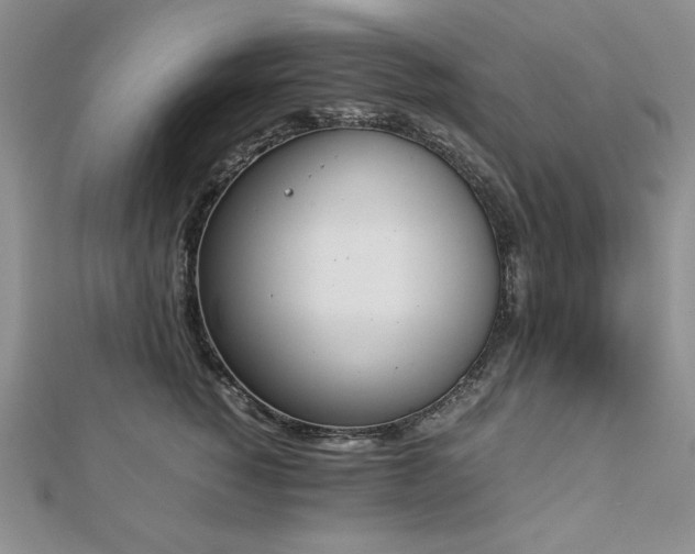X0000113170760200909041321
