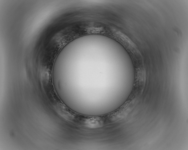 X0000113170761200909041321