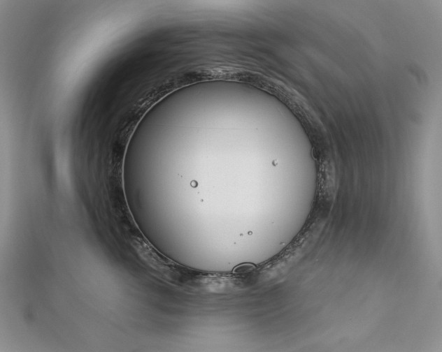X0000113170762200909041321