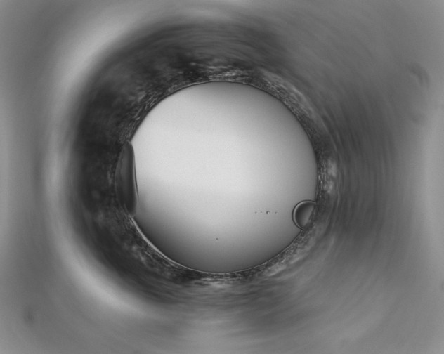 X0000113170763200909041321
