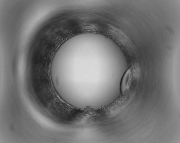 X0000113170764200909041321