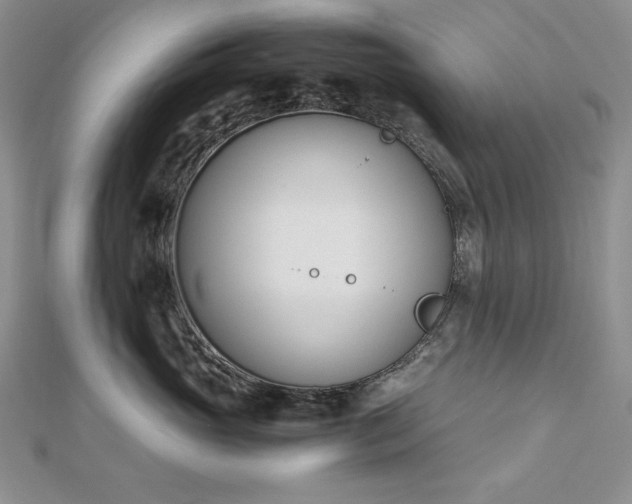 X0000113170765200909041321