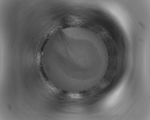 X0000113170767200909041321