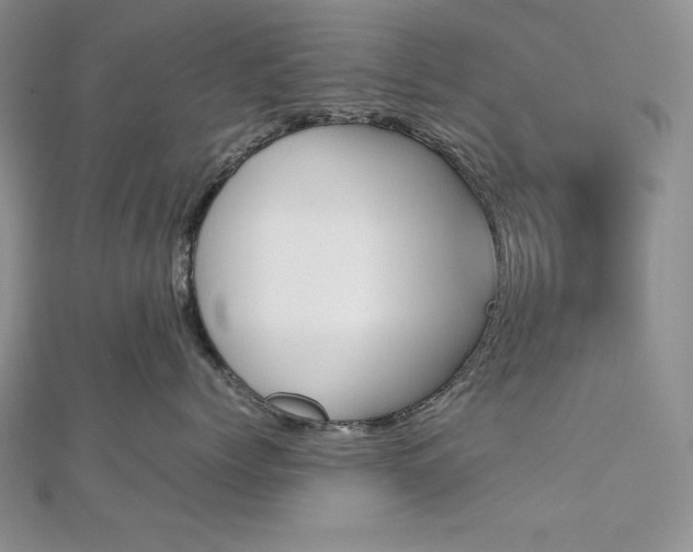 X0000113170768200909041321