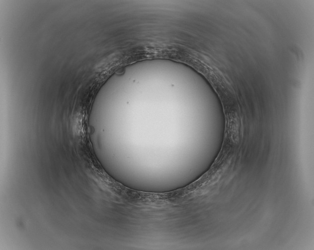 X0000113170770200909041321