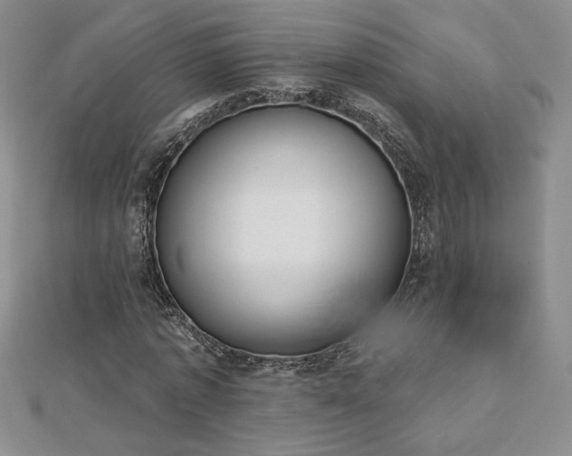 X0000113170773200909041321