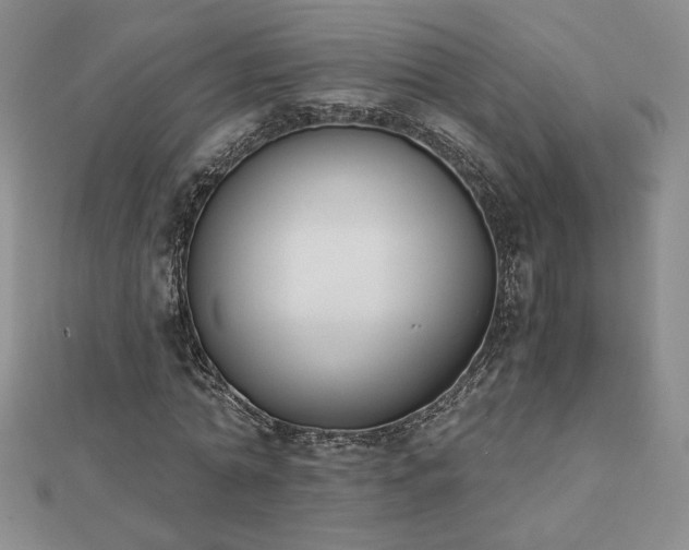 X0000113170774200909041321