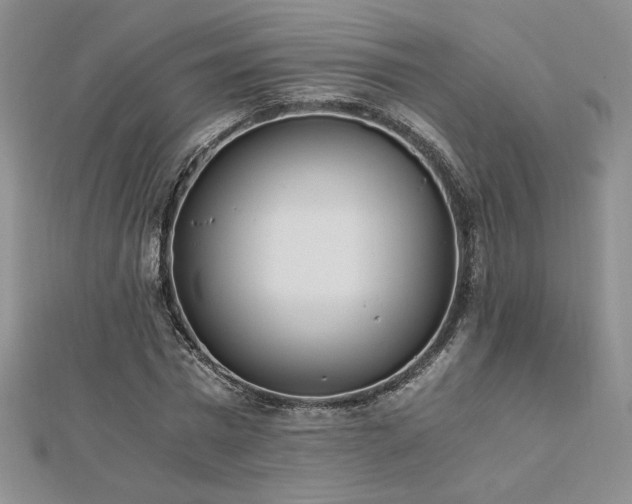X0000113170777200909041321