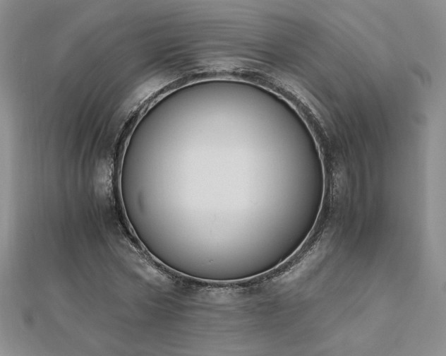 X0000113170778200909041321