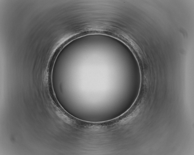 X0000113170779200909041321