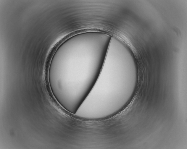 X0000113170780200909041321