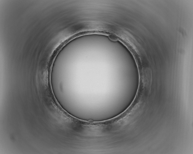 X0000113170781200909041321