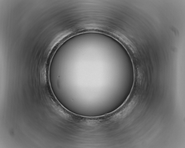 X0000113170782200909041321