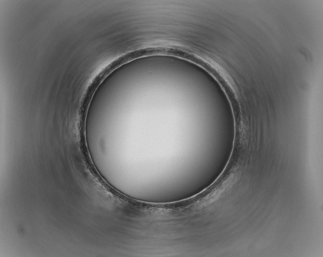 X0000113170783200909041321
