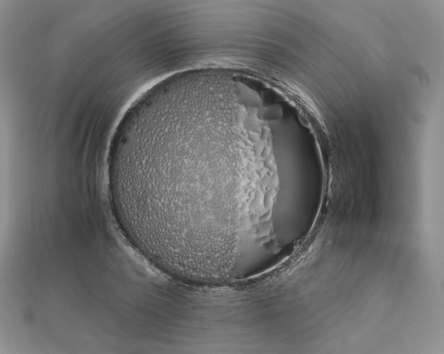 X0000113170784200909041321
