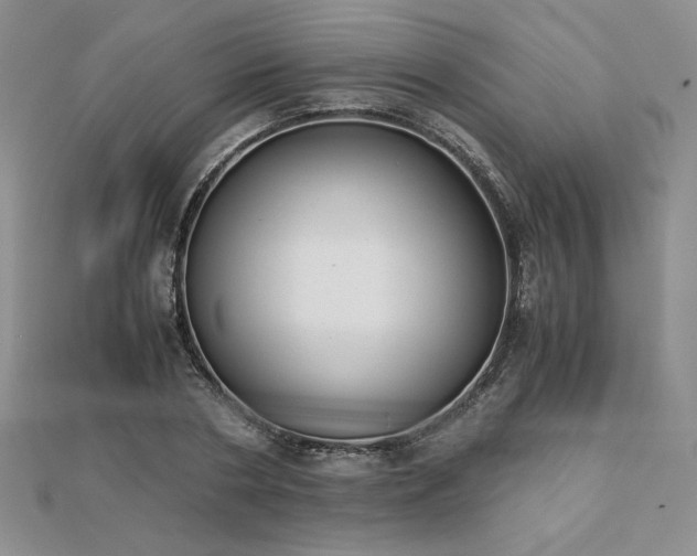 X0000113170786200909041321