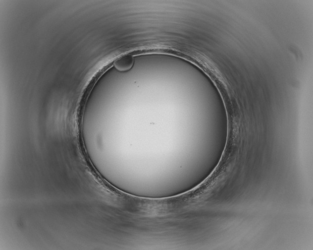 X0000113170789200909041321