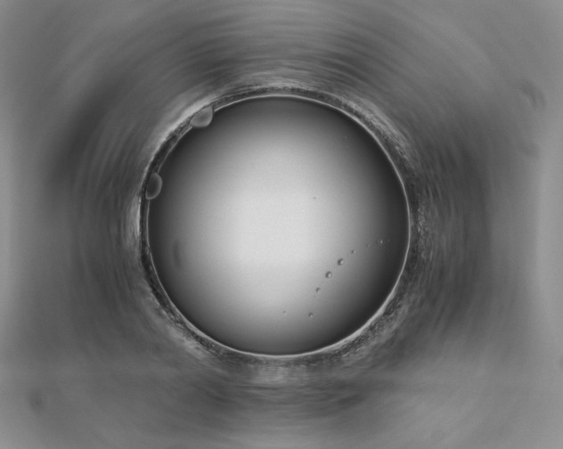 X0000113170790200909041321