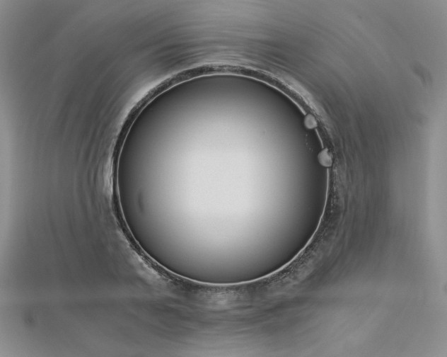 X0000113170791200909041321