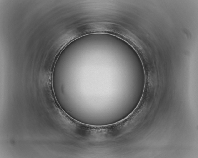 X0000113170793200909041321