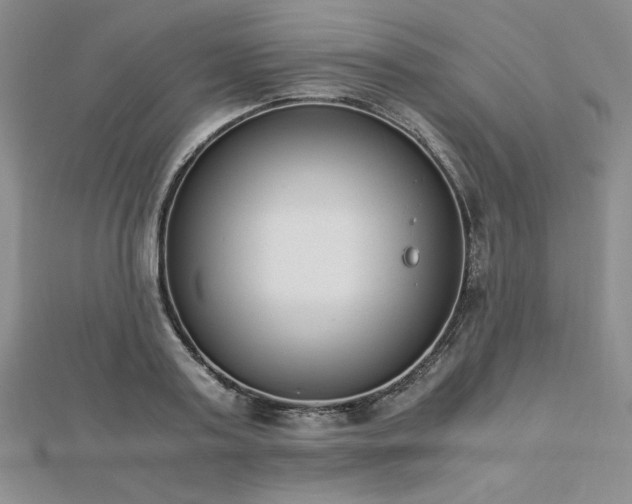 X0000113170795200909041321